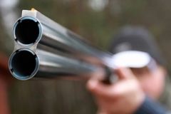 Чотири сотні браконьєрів зловили торік у лісах Вінниччини