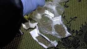 Двоє вінничан організували продаж канабісу у місті