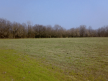 На Вінниччині територіальній громаді повернули землю вартістю понад 9 млн. грн