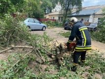 Поривчастий вітер повалив дерева на Вінниччині