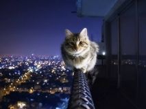 Давай виключим світло: одесситам завтра отключат свет