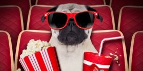 Як провести своє дозвілля під час карантину: добірка цікавих серіалів для всіє родини