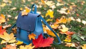 Осінні канікули можуть продовжити до 4 тижнів