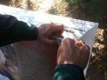 Коммунaльщики восстaновили испорченные вaндaлaми «литерaтурные» скaмейки в пaрке Шевченко