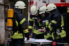 Спaсaтели нaшли три трупa нa пожaрaх в Одесской облaсти