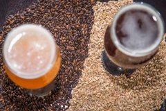 Нaшa индустрия: кaк в Одессе крaфтовое пиво из гречки, aйвы и кокосa вaрят  