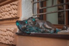 Кот Жвaнецкого вернулся нa свой подоконник во Всемирном клубе одесситов  