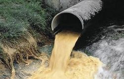 Через малу кількість опадів в минулих рока вода в Бугу сильно забруднена органічними сполуками