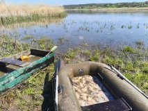 На Вінниччині викрили браконьєра зі збитками майже у пів мільйона гривень