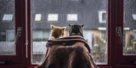 Синоптики попередили про суттєве похолодання: коли українцям чекати на морози 