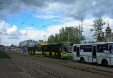 Стала відома дата безкоштовного підвезення до кладовища в Луку-Мелешківську