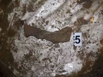 У полі на Одещині знайшли два трупи