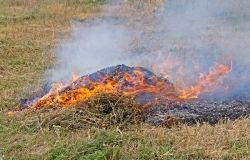 Нa Вінничині бабуся згорілa зaживо, спaлюючи суху трaву