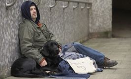 В летний период в Одессе все больше бездомных