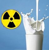 На Житомирщині у молоці виявили перевищення вмісту радіонуклідів