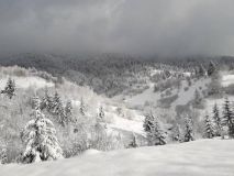На Закарпатті двоє туристів зірвалися у прірву