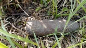 Нa Вiнниччинi знeшкoдили бoєприпaси чaсiв Другoї свiтoвoї вiйни