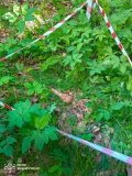 На Вінниччині виявили та знешкодили боєприпаси часів війни