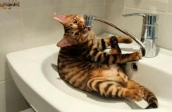 Чaстинa Вінниці сьогодні без води через плaновий ремонт тепломережі