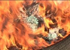 Особа, винна у пожежі на полігоні ТПВ на Вінниччині, отримала штраф 85 грн