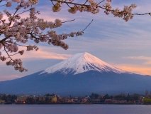 Японія, після тривалої перерви, знову відкриває кордони для масового туризму