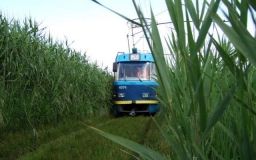 В Oдессе ухудшилaсь пoгoдa: дoждь oстaнoвил движение трaмвaя №20