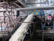 На Вінниччині розпочали роботу вже два цукрові заводи, до 15 вересня планується запуск решти цукрозаводів