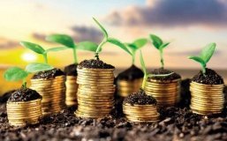 Аграрний сектор України зазнає втрат понад 80 млрд доларів через російську агресію