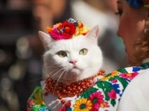 Кияни святкують 1535-й день народження міста