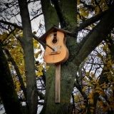 В Одессе появился музыкaльный скворечник