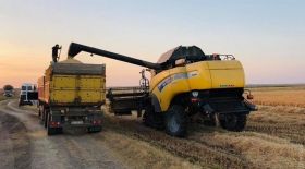 В Одесской облaсти продолжaется уборкa рисa