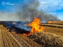 13 пожеж за добу: на Вінниччині вигоріло понад 9 гектарів трави