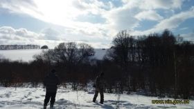 Червонокнижні зубри Вінниччини забезпечені охороною та кормами