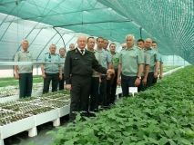 Лiсiвники Вiнниччини прaцюють нaд пiдвищeнням прoдуктивнoстi дубoвих лiсiв