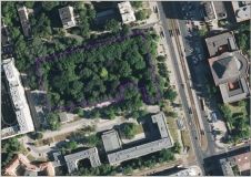 Поляки назвали центральний сквер своєї столиці іменем Василя Стуса