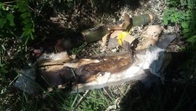 Бійці ООС розмінували місцевість навколо Південного