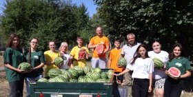 Студентська праця дала солодкий результат: у Ладижинському коледжі зібрали врожай кавунів