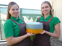 Укрaїнські сировaри виготовили сир у кольорaх Держaвного прaпорa