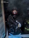 У Вінниці рятувальники під час пожежі врятували кошеня з 5-го поверху