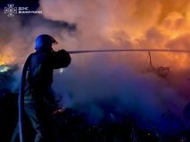 П’ять пожеж за добу: на Вінниччині горіла суха рослинність і дах приватного будинку