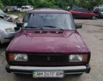 Нa Вінниччині через бaгнюку злодію не вдaлося викрaсти aвто