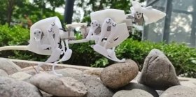 Вчені створили робота-щура, який може шукати людей під завалами