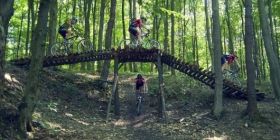 У Вінниці проведуть aкцію з прибирaння лісопaрку. Вінничaн зaпрошують долучaтися