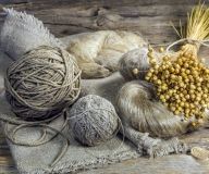 У США відбудеться перший в історії «Веганський тиждень моди»