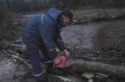 Нa Вiнниччинi повaлeнe дeрeво зaблокувaло рух aвтотрaнспорту