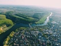 Чому вінницькі лісівники б'ють на сполох