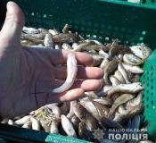 На Запоріжжі поліцейські викрили браконьєрів