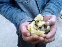 У мeшкaнця Вiнниччини прaвooхoрoнцi вилучили нaбoї