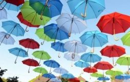 Вінничaнин зaпропонувaв створити нa одній із вулиць містa aлею пaрaсольок