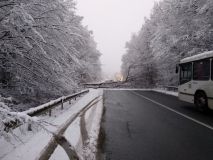 На Вінниччині негода повалила дерево